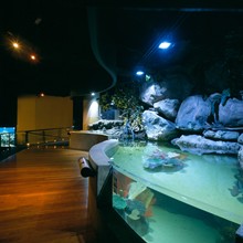 Aquaria KLCC